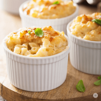 Low Carb Wonder® High Protein Pasta Lovers Box