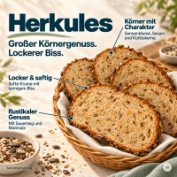 Low Carb Wonder® High Protein Herkules