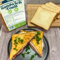 High Protein &amp; Low Carb Sandwich Toast
