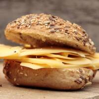 Low Carb Kraft-Protz Rolls