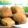 Locawo High Protein Low Carb Fitty Brötchen 3