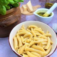 High Protein &amp; Low Carb Penne Rigate