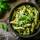 High Protein & Low Carb Penne Rigate